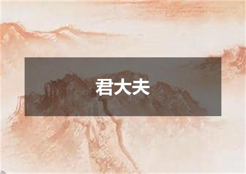 君大夫