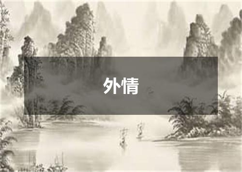 外情