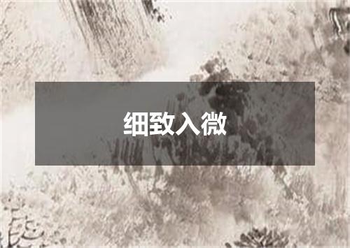 细致入微
