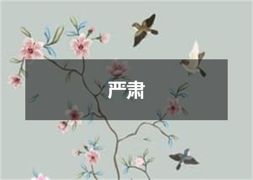 严肃