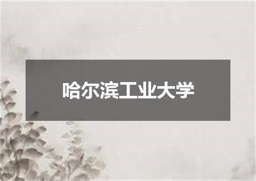 哈尔滨工业大学