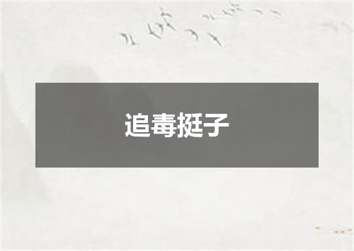 追毒挺子