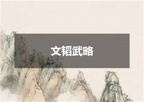 文韬武略