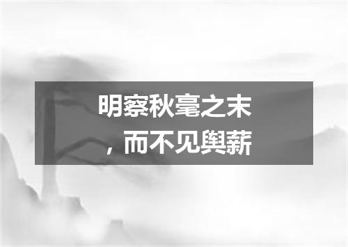 明察秋毫之末，而不见舆薪