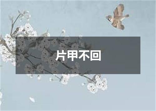 片甲不回