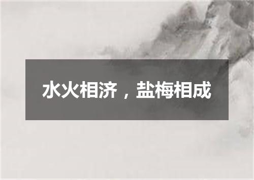 水火相济，盐梅相成