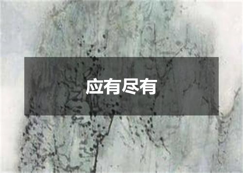 应有尽有