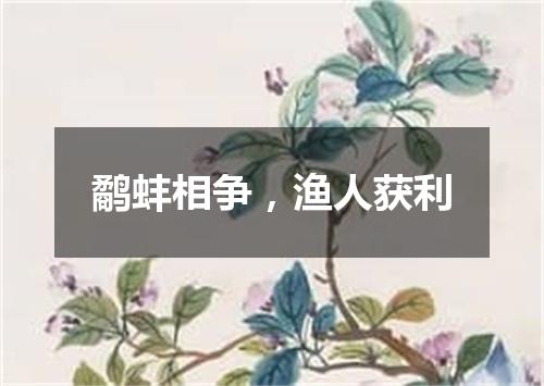 鹬蚌相争，渔人获利