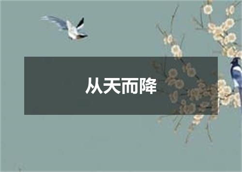 从天而降
