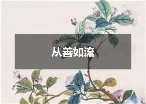 从善如流