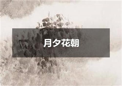 月夕花朝