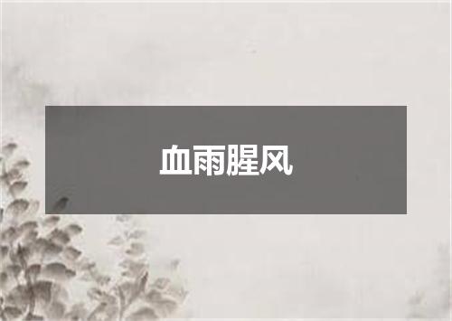 血雨腥风是什么意思