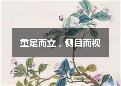 重足而立，侧目而视