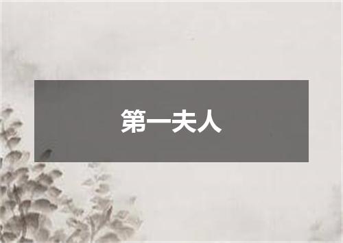 第一夫人