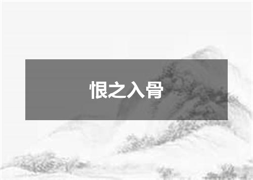 恨之入骨