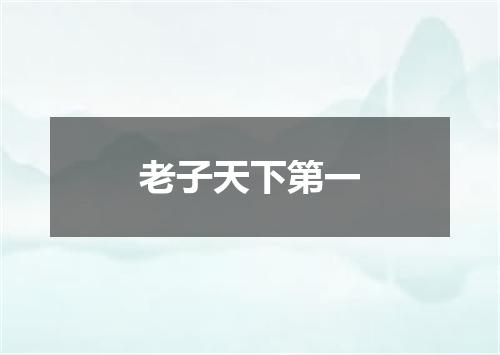 老子天下第一