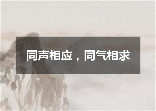 同声相应，同气相求