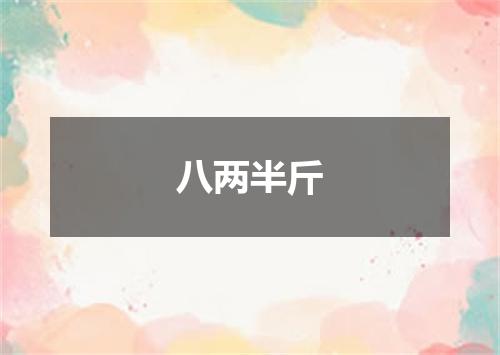 八两半斤