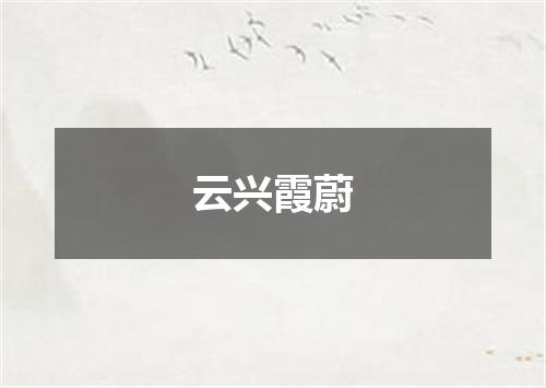 云兴霞蔚