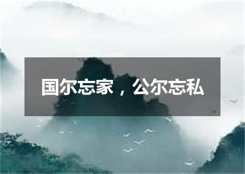 国尔忘家，公尔忘私