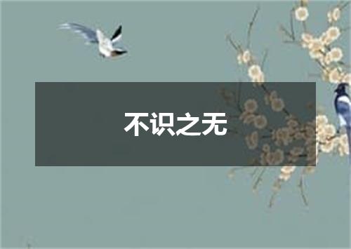 不识之无