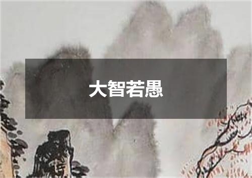大智若愚