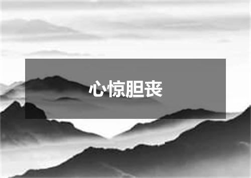 心惊胆丧