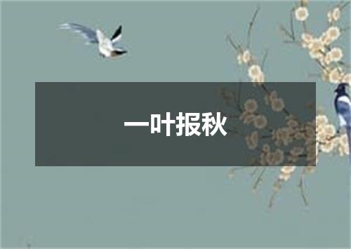 一叶报秋是什么意思