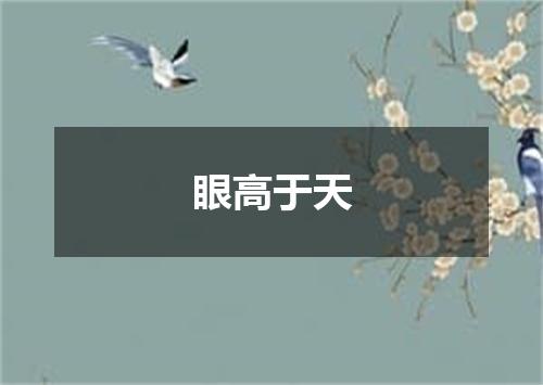 眼高于天是什么意思