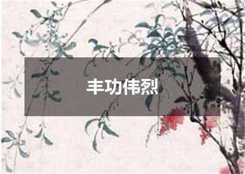 丰功伟烈是什么意思