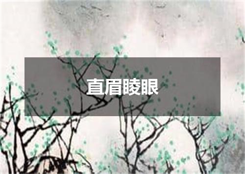 直眉睖眼是什么意思