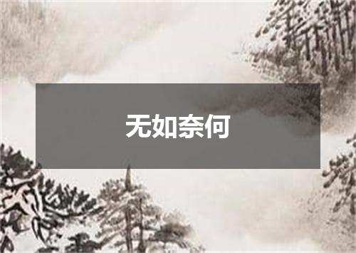 无如奈何是什么意思