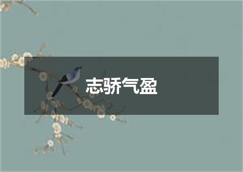 志骄气盈是什么意思