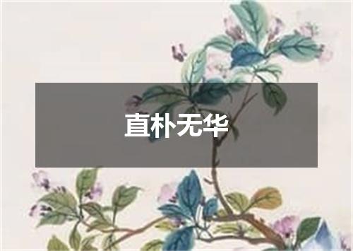 直朴无华是什么意思