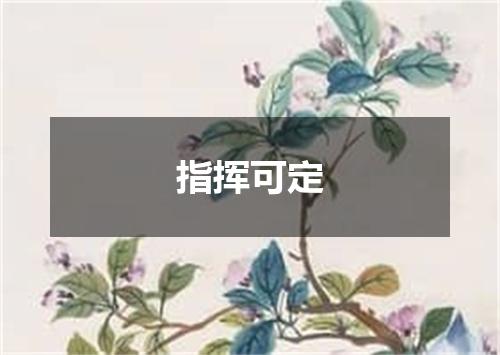 指挥可定是什么意思