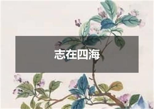 志在四海是什么意思