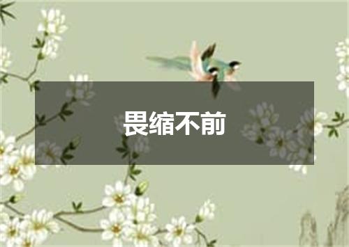 畏缩不前