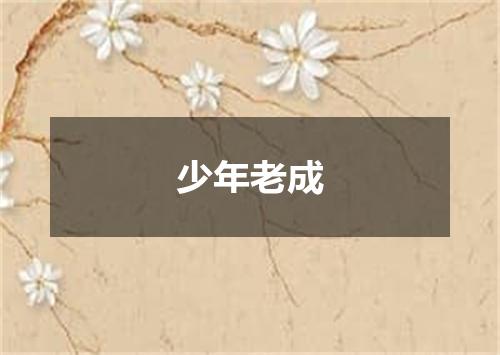 少年老成