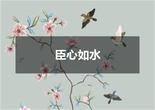 臣心如水
