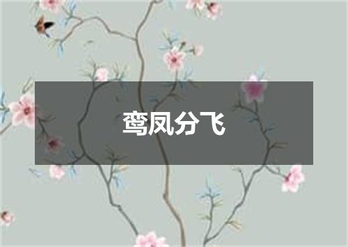 鸾凤分飞