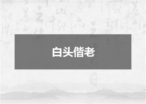 白头偕老