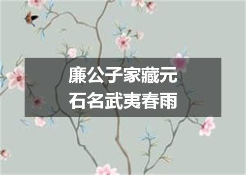 廉公子家藏元石名武夷春雨