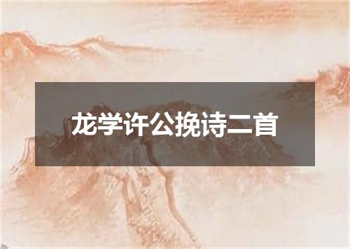 龙学许公挽诗二首