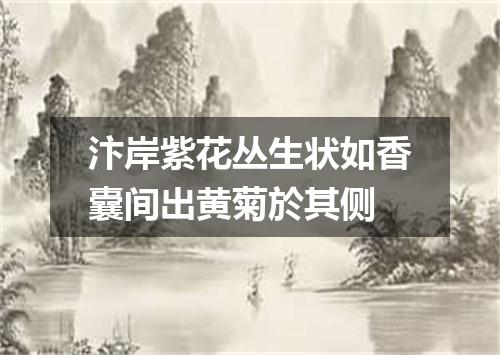 汴岸紫花丛生状如香囊间出黄菊於其侧