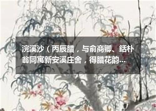 浣溪沙（丙辰腊，与俞商卿、銛朴翁同寓新安溪庄舍，得腊花韵甚，赋二首）