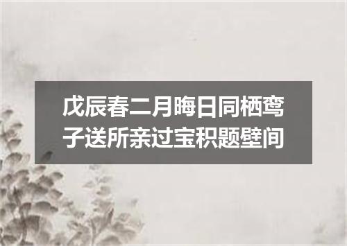 戊辰春二月晦日同栖鸾子送所亲过宝积题壁间