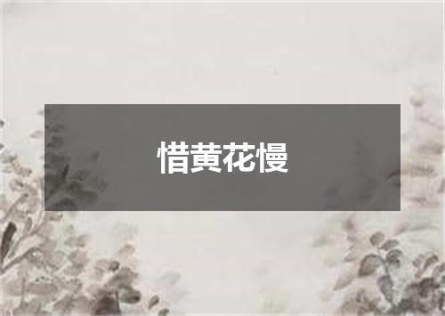 惜黄花慢