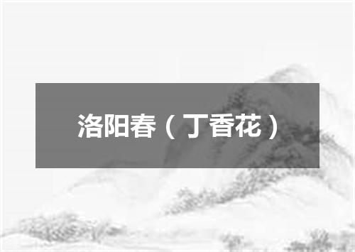 洛阳春（丁香花）