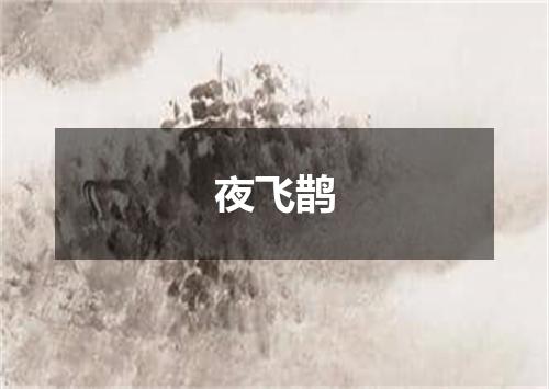 夜飞鹊