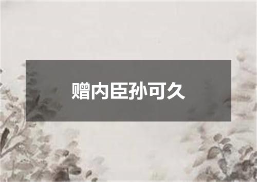 赠内臣孙可久